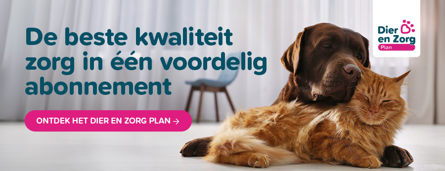 Dier en Zorg Plan banner